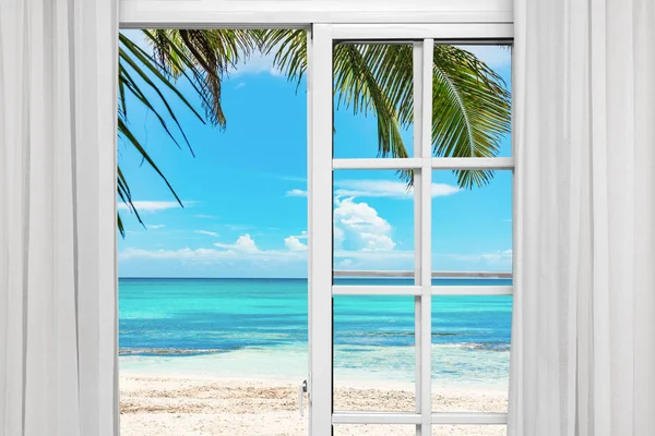 Окно пальмовый пляж — стоковое фото