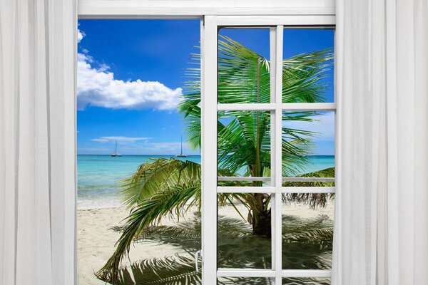 window open palm beach