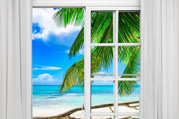 Ventana abierta palmera playa — Foto de Stock