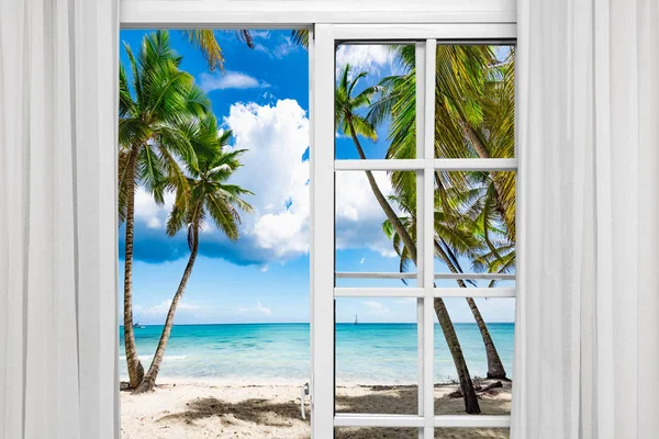 Ventana abierta palmera playa — Foto de Stock