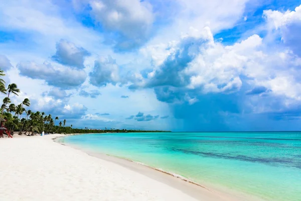 Paraíso playa tropical palmera — Foto de Stock