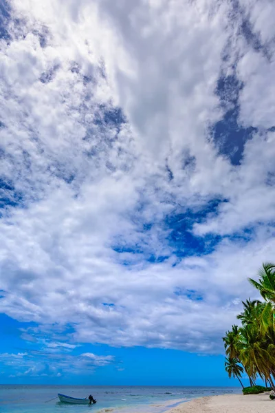 Paradies tropischen Strand Palme der Karibik — Stockfoto