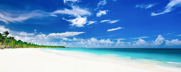 카리브해에는 열 대의 낙원이 펼쳐져 있다 — 스톡 사진