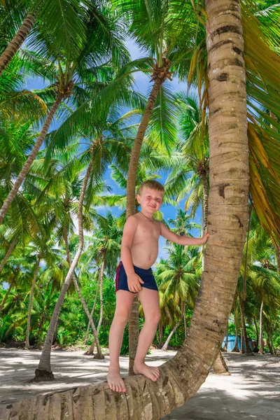 De jongen op de palm — Stockfoto