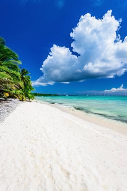 Palm Beach Şezlongu