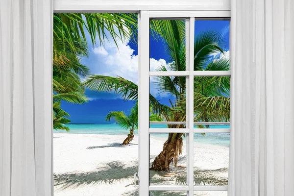 Venster open palm beach — Stockfoto