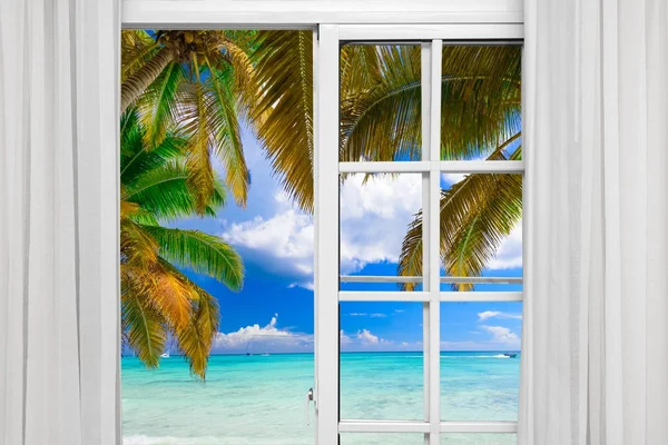 Ventana abierta palmera playa — Foto de Stock