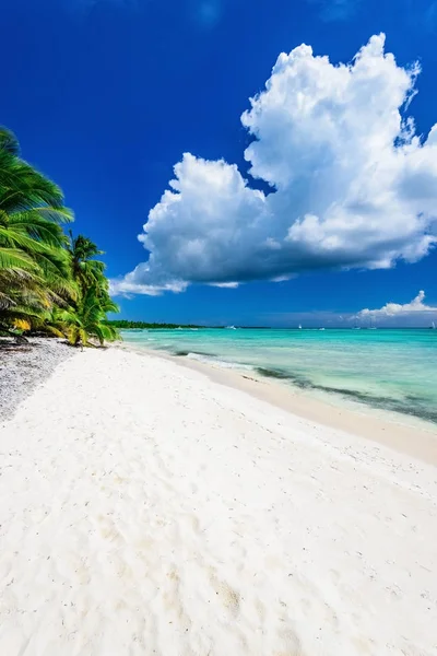Пальмовий пляж ланцюг довго — стокове фото