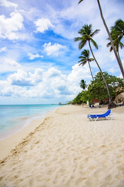 Chaise longue de playa de palma — Foto de Stock