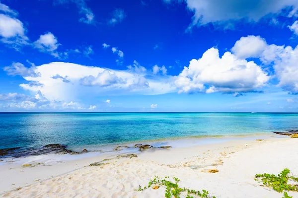 Paraíso playa tropical palmera del Mar Caribe — Foto de Stock
