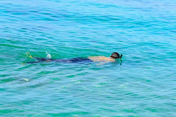 Adam maske tüplü deniz yüzüyor — Stok fotoğraf