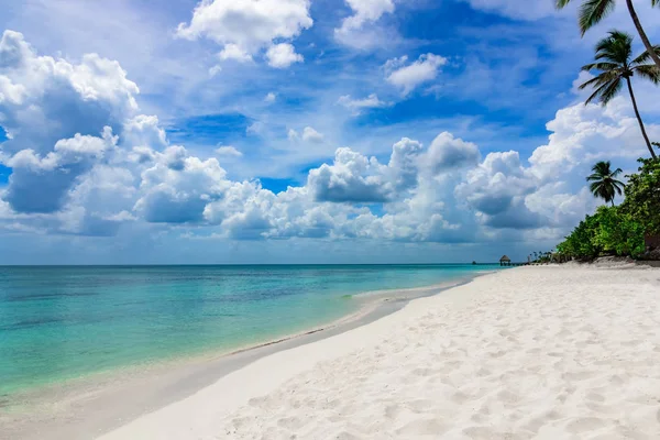 Παράδεισος τροπική παραλία φοίνικα της Καραϊβικής Θάλασσας — Φωτογραφία Αρχείου