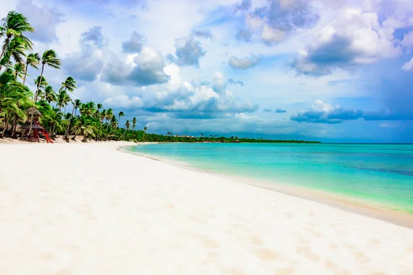 Paraíso playa tropical palmera del Mar Caribe — Foto de Stock