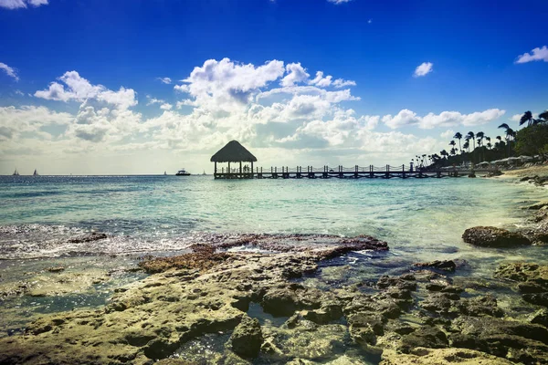 Paradis resort strand palm träd hav Dominikanska republiken — Stockfoto