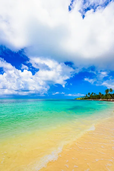 Παράδεισος θέρετρο παραλία φοινικόδεντρο θάλασσα Δομινικανή Δημοκρατία — Φωτογραφία Αρχείου