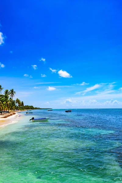 Paradis station plage palmier mer République dominicaine — Photo