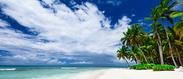 Paradicsom üdülőhely strand pálmafa tenger Dominikai Köztársaság — Stock Fotó