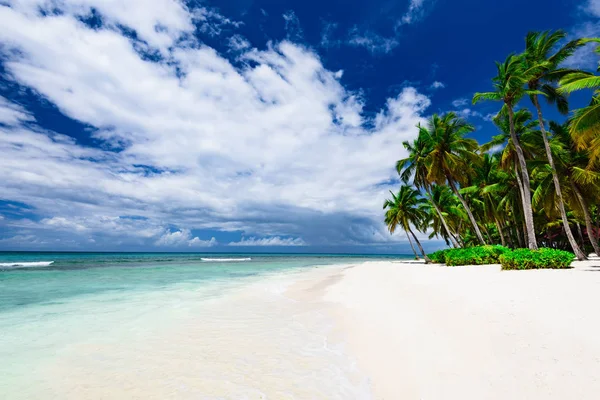天堂度假胜地海滩棕榈树海多米尼加共和国 — 图库照片