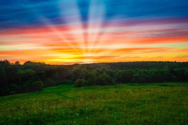 gündoğumu ağaçlar güneş ışınları