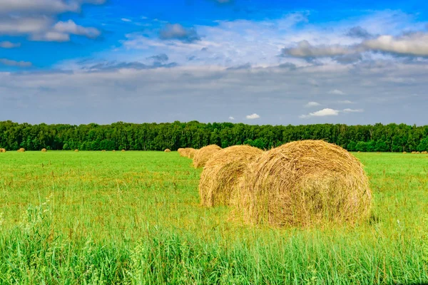 干し草のベール — ストック写真