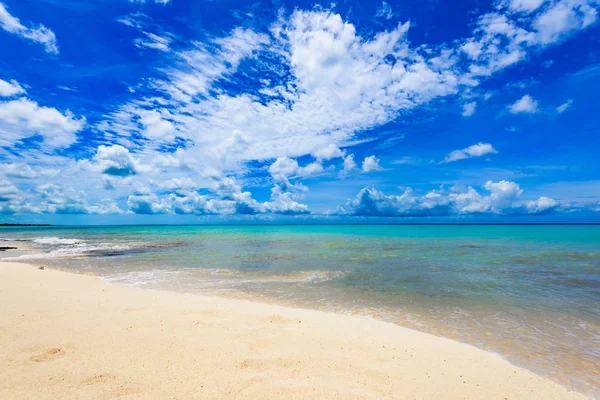 Magischer paradiesischer Strand der Karibik — Stockfoto