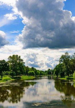 parkta su organıdır büyümüş çamur