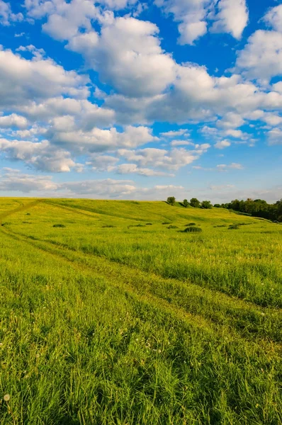 Hill çayır gökyüzü — Stok fotoğraf