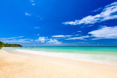 Cennet plaj güzel beyaz kum ile palmiye ağacı tatil