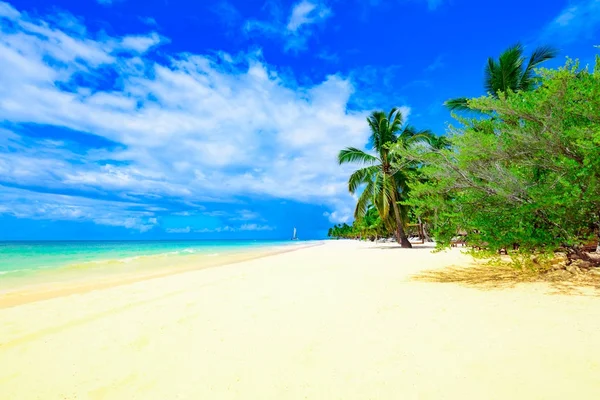 Playa paradisíaca hermosa arena blanca con palmera en el complejo — Foto de Stock