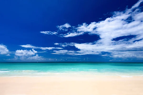 Paradiesstrand schöner weißer Sand mit Palmen im Resort — Stockfoto