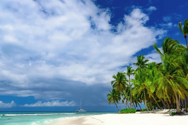 Praia paradisíaca bela areia branca com palmeira no resort — Fotografia de Stock