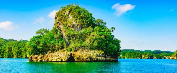 Green island in the ocean — Stock Photo, Image