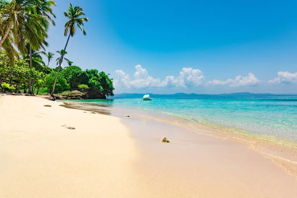 Playa paradisíaca hermosa arena blanca con palmera en el complejo — Foto de Stock