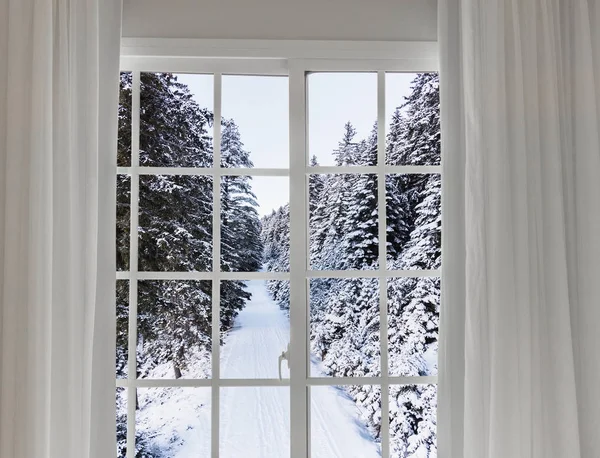 Vista desde la ventana en el — Foto de Stock