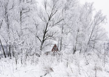 kış orman hoarfrost eski ev