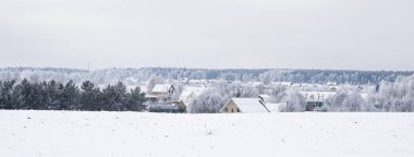 manzara orman kışın soğuk