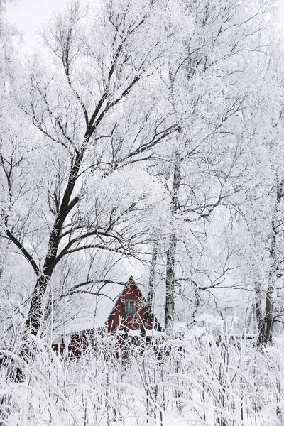 Zimní les jinovatka starý dům — Stock fotografie