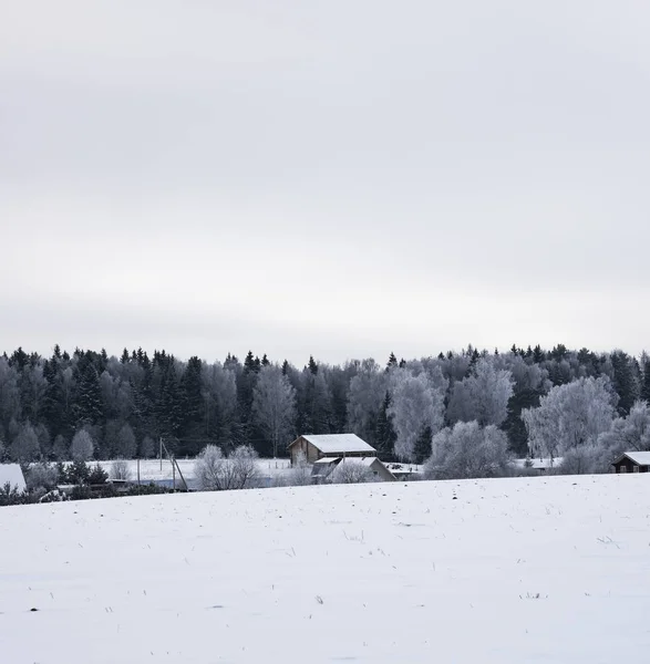 Paysage forêt givré en hiver — Photo