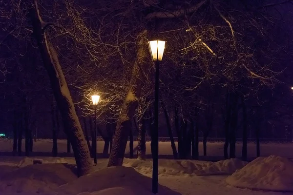 Linterna árbol de nieve noche —  Fotos de Stock
