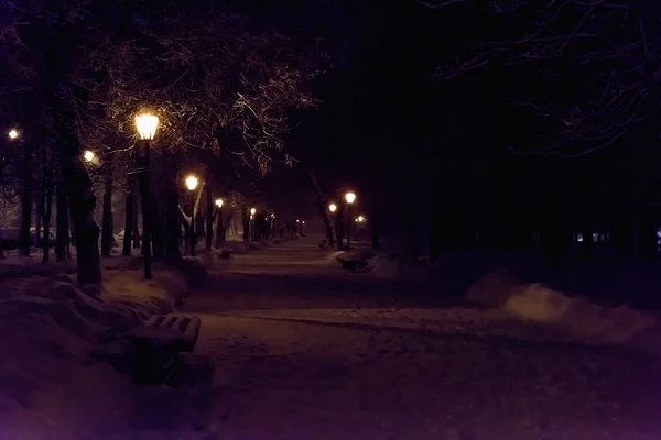 Lanterna notte albero di neve — Foto Stock
