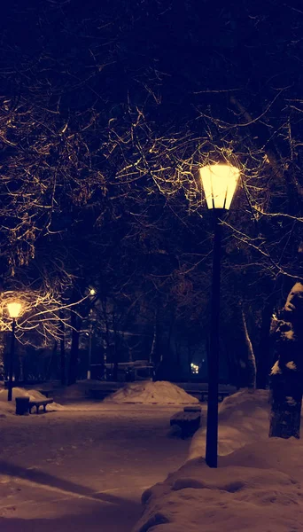 Lanterna noite árvore de neve — Fotografia de Stock