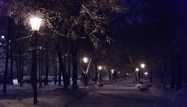 Lanterna notte albero di neve — Foto Stock