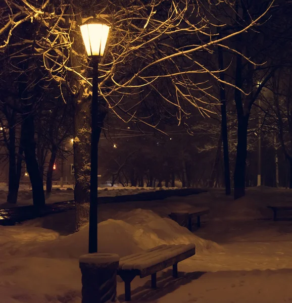 Fener gece kar ağaç — Stok fotoğraf