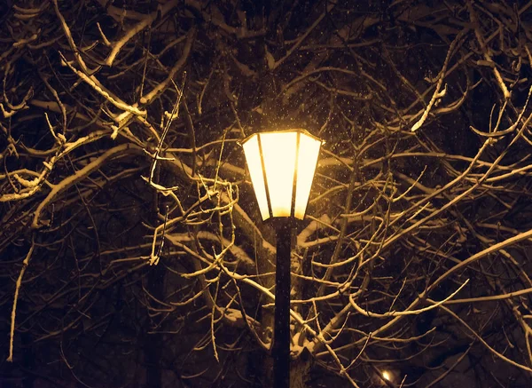 Laterne Nacht Schnee Baum — Stockfoto