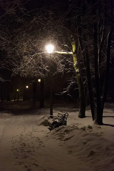 Fener gece kar ağaç — Stok fotoğraf