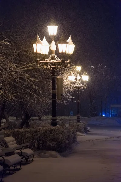 Laterne Nacht Schnee Baum — Stockfoto