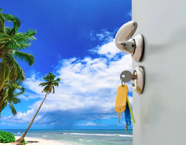 Dveře otevřené palm beach — Stock fotografie