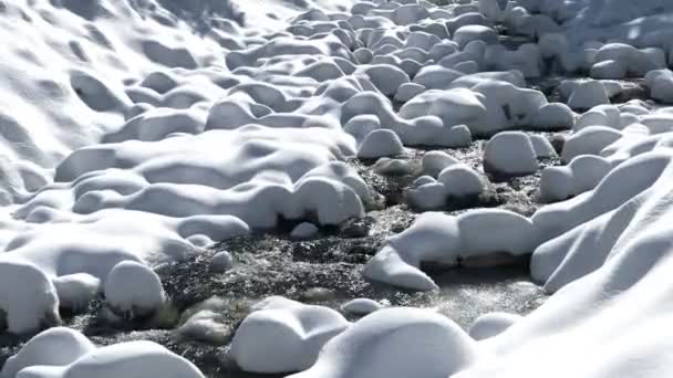 Швидкий Гірський Потік Серед Каменів Весною Відлига Лісі — стокове відео