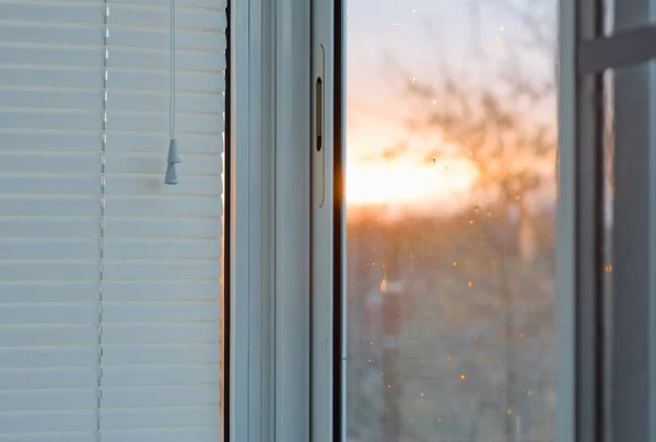 Window blinds — Stock Photo, Image