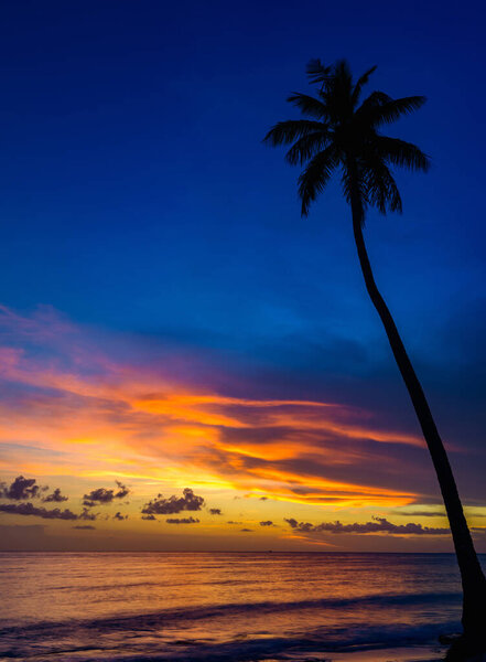 Beautiful calm color sunset of the Caribbean in fine weather